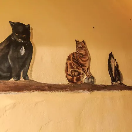 Bed & Breakfast I Quattro Gatti *