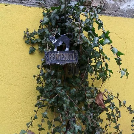 Bed & Breakfast I Quattro Gatti Gabiano