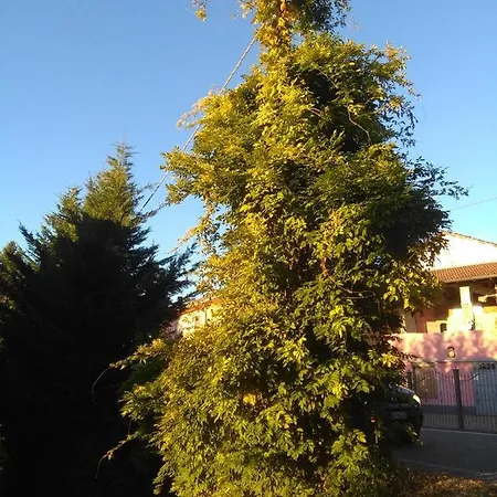 Bed & Breakfast I Quattro Gatti *