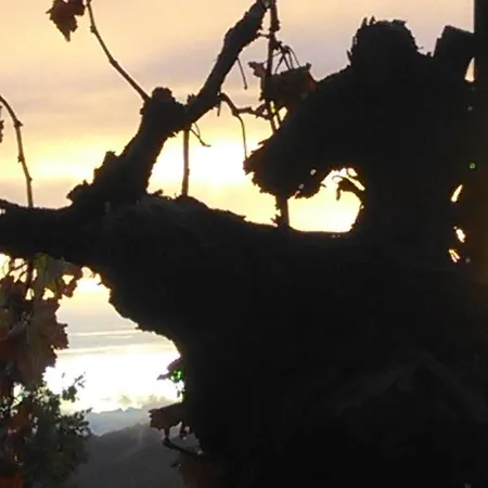 I Quattro Gatti Gabiano