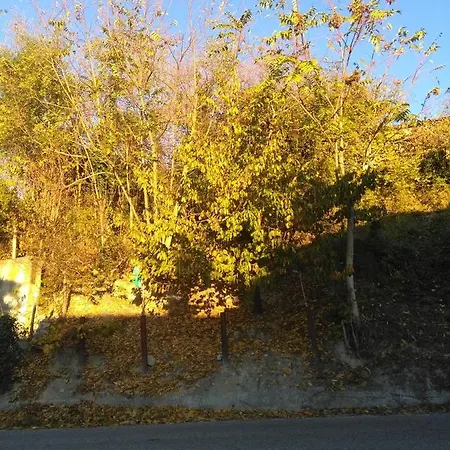 I Quattro Gatti Bed & Breakfast