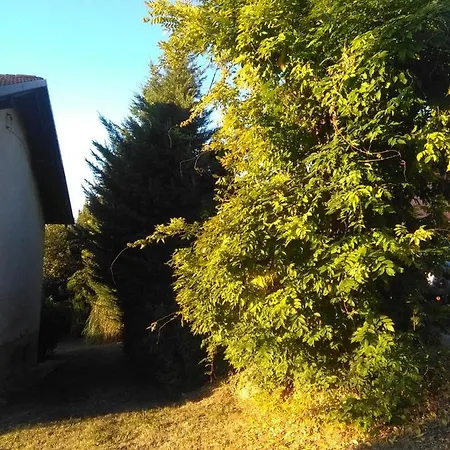 I Quattro Gatti Bed & Breakfast Gabiano