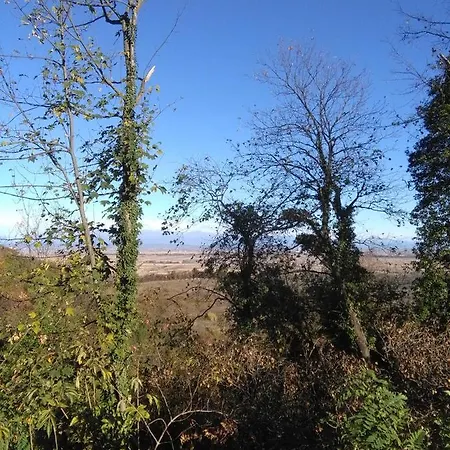 I Quattro Gatti Bed & Breakfast *