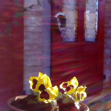 I Quattro Gatti Gabiano