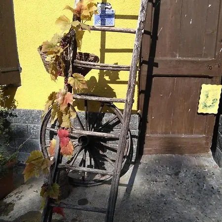 I Quattro Gatti Gabiano