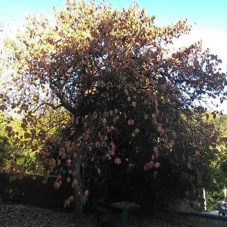 I Quattro Gatti * Gabiano