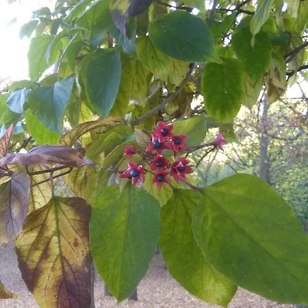 I Quattro Gatti Bed & Breakfast Gabiano