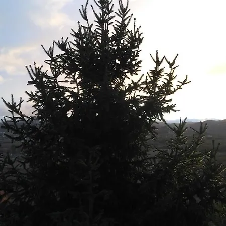 I Quattro Gatti Bed & Breakfast