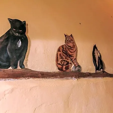 I Quattro Gatti Gabiano