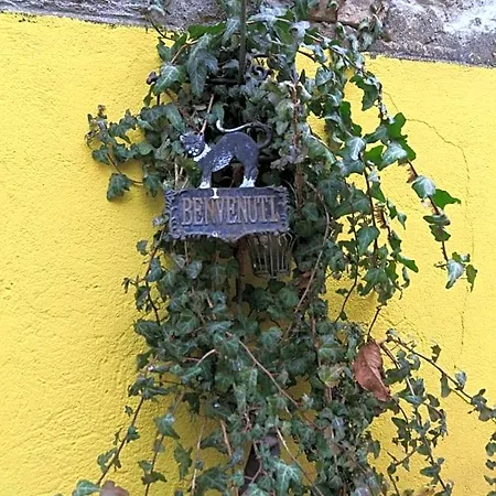 I Quattro Gatti Bed and breakfast *