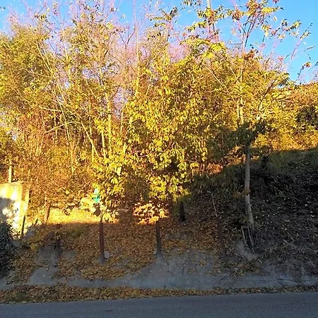 I Quattro Gatti * Gabiano