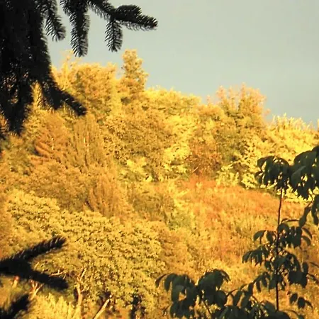 I Quattro Gatti Bed & Breakfast Gabiano